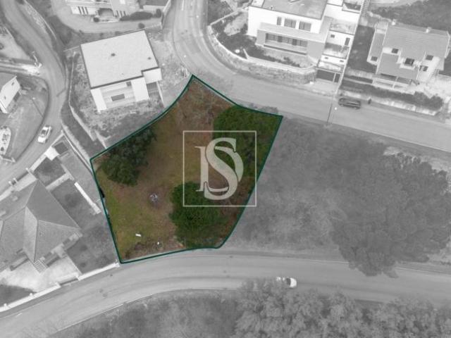 Amarante Porto 94668724