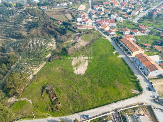 Amarante Porto 104800883
