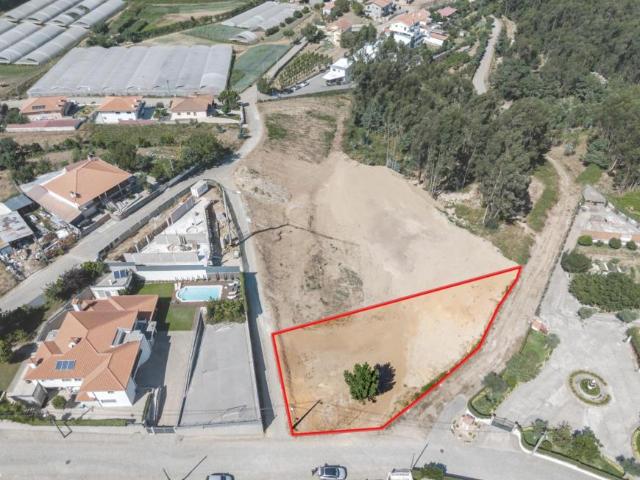 Amarante Porto 105091153