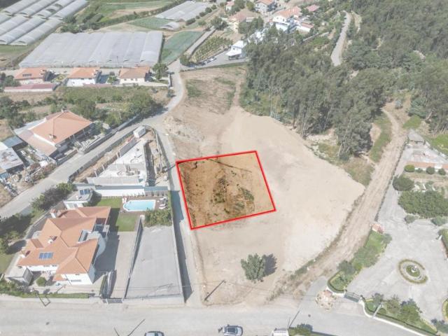 Amarante Porto 105091154