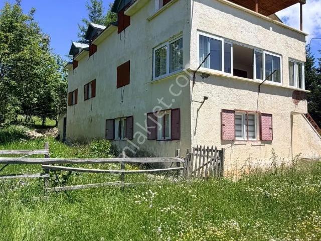 Çambaşı Yaylası'nda 1.264 M² Arsa İçerisinde 3 Katlı Müstakil Ev