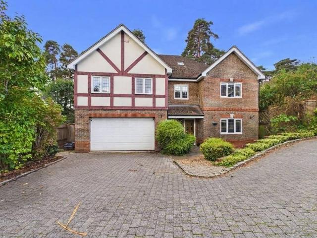 Amber Hill, Camberley, Surrey, GU15 6 bed detached house to rent £4,000 pcm £923 pw