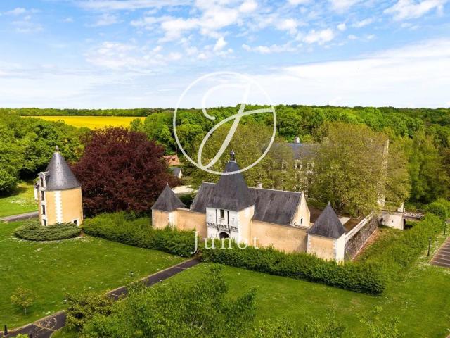Amboise Loir Et Cher Château style renaissance et son dom. 2100m² Amboise