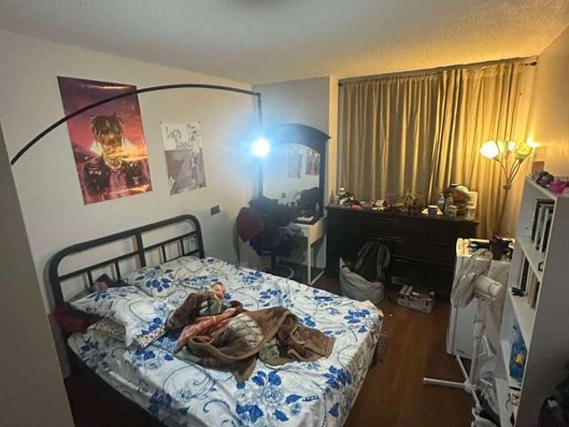 Amethyste Has an Apartment