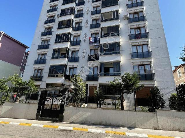 Çamlıkta 2+1 Balkonlu Yüksek Giriş