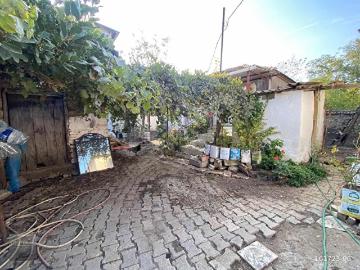 Çamlık, Selçuk, Selçuk, İzmir ili, Ege Bölgesi