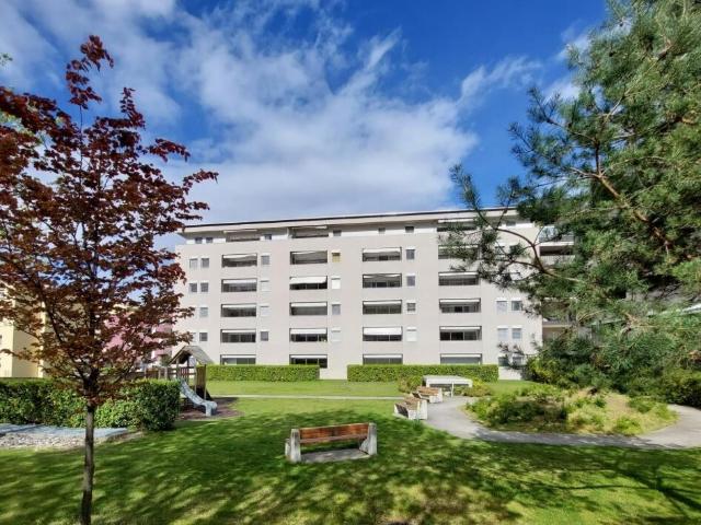 AMPIO 2.5 LOCALI A BELLINZONA