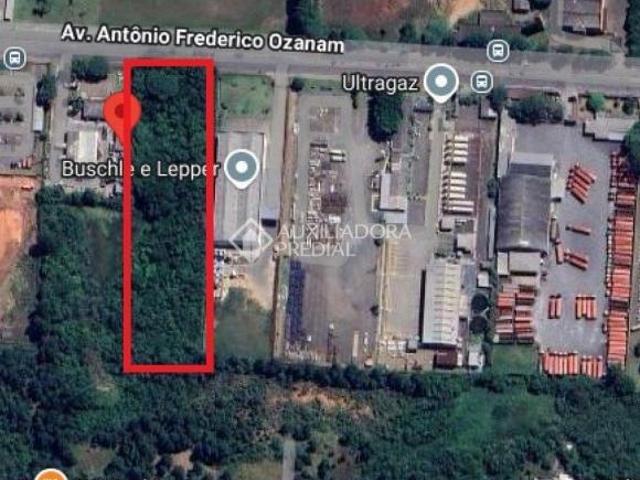 AMPLA ÁREA EM LOTE INDUSTRIAL COM 10.260m²