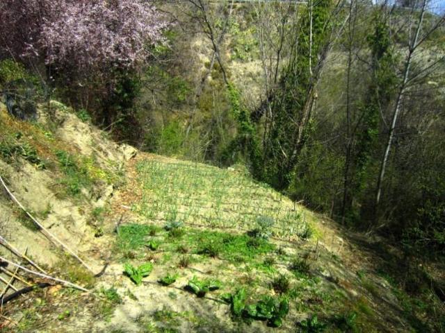 Amplio cortijo, construido con un nivel muy alto por un repu. 160m² Yegen