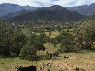 Quilpué, Provincia de Marga Marga, Región de Valparaíso
