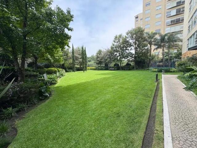 VENTA DEPARTAMENTO BOSQUE DE LOMAS VEDRES TORRE MAPLE