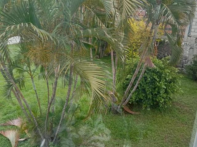 AMPLIO JARDIN