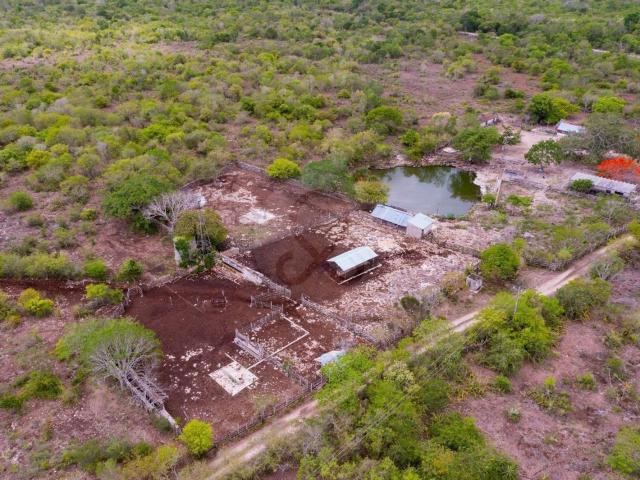 Rancho en venta en Pueblo Dzilam Gonzalez