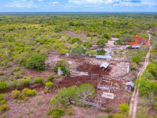 Rancho en venta en Pueblo Dzilam Gonzalez