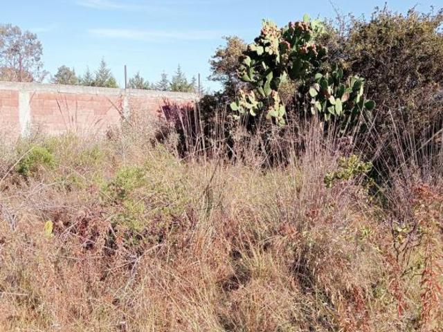 Amplio TERRENO en Club Virreyes Tepozotlan ubicación tranquila y esclusiva