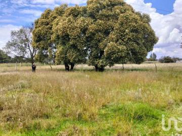 Amplio terreno campestre en venta San Dionisio Yauhquemehcan