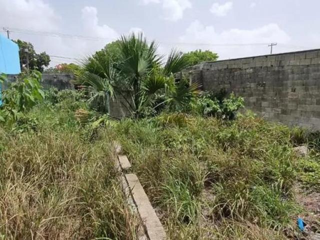 Amplio terreno en venta en el centro de merida yucatan