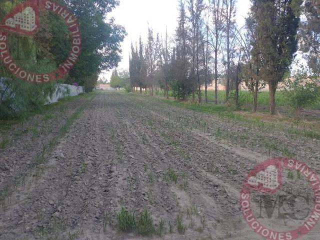 Amplio Terreno en Venta Los Arenales, Jesús María, Ags