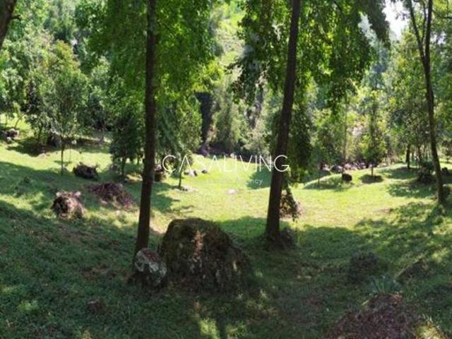 Amplio terreno: ideal para casa de campo
