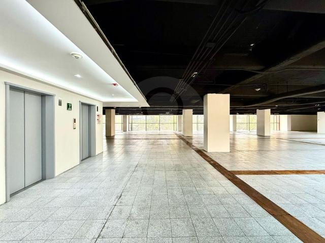 Amplia Oficina en Renta en Polanco