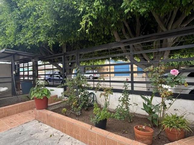 Amplia Propiedad en Venta – Col. Herrera