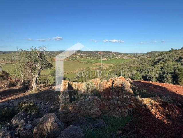 Amplo Terreno Misto de 3,5 Hectares com Ruína Monte Alto, Odiáxere