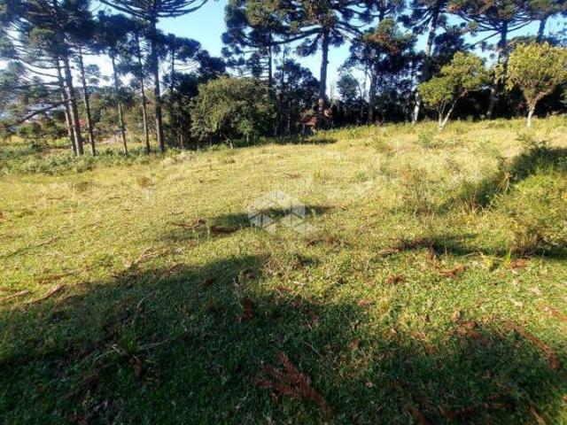 Amplo terreno no bairro Alfândega!