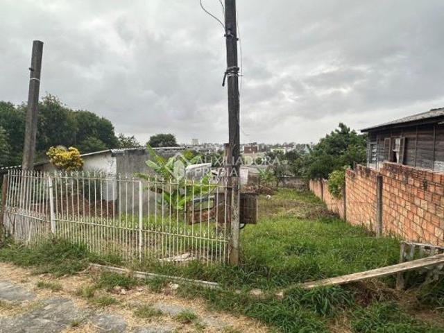 Amplo terreno bem localizado no bairro Tristeza