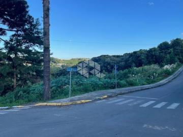 Amplo Terreno de Esquina com tamanho diferenciado