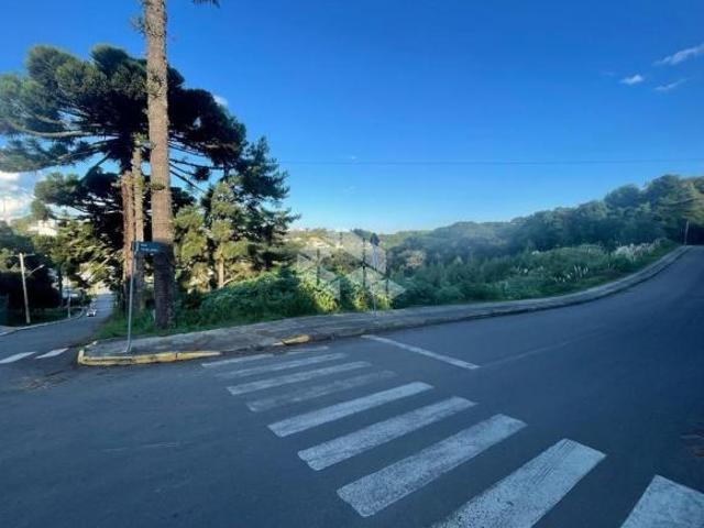 Amplo Terreno de Esquina com tamanho diferenciado