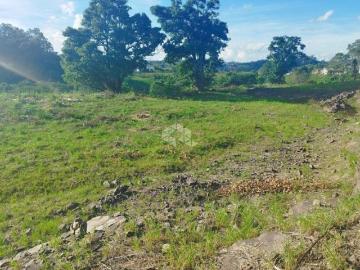 Amplo terreno de 5.373 m² no Bairro São Roque