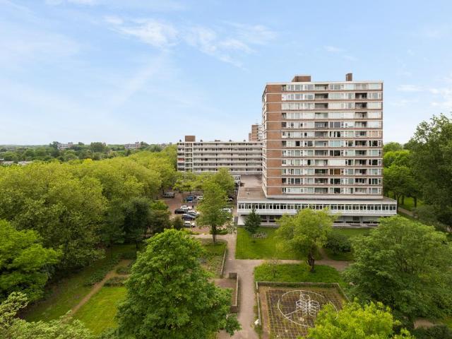 Amsterdam – Assumburg 69