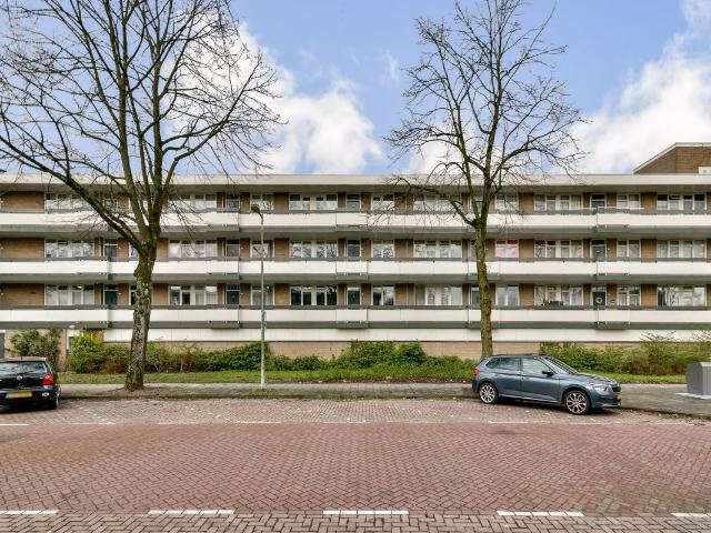 Amsterdam – Bolestein 562