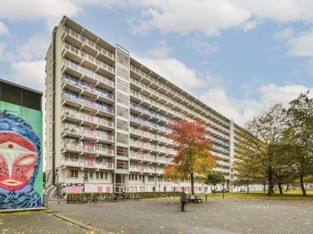 Amsterdam – Hogevecht 11