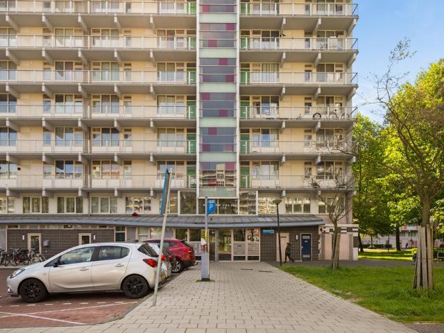 Amsterdam – Haag en Veld 91C