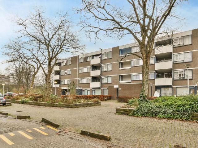 Amsterdam – Ophemerthof 10