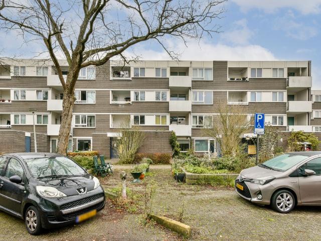Amsterdam – Ophemerthof 23