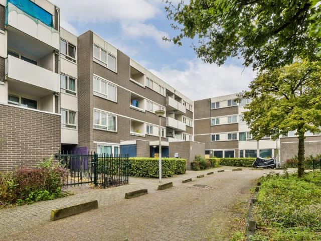 Amsterdam – Ophemerthof 88