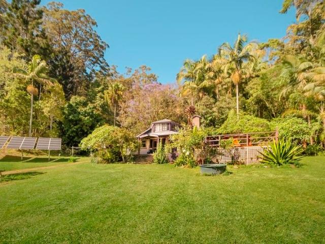 An Untouched Sanctuary on Mount Wollumbin