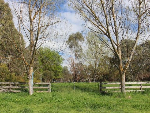 An acre in town for your pony, moveable unit or market garden?