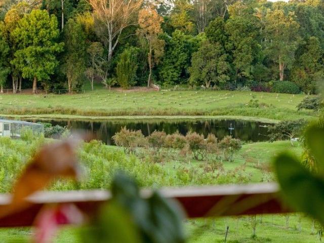 An elevated lifestyle with space, privacy and an outlook that feels like twenty acres