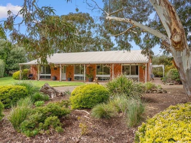 An Entertainer's Modern Dream in Lush Country Setting