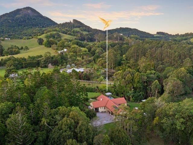 An Established Hinterland Estate at the Foot of Mount Cooroy