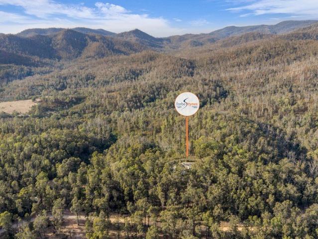 An Established Start Across 97 Acres