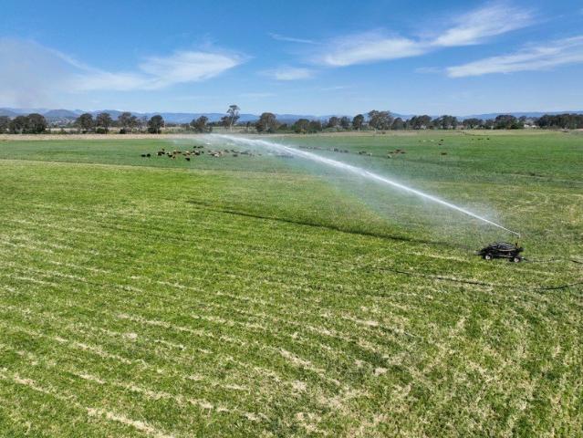 Exceptional Rural Lifestyle Property with Logan River Frontage