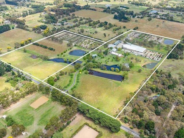 An Extensive Lifestyle Residence With Successful Wholesale Plant Nursery