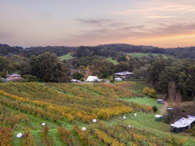 An Extraordinary Adelaide Hills Estate of Lifestyle, Income & Possibility