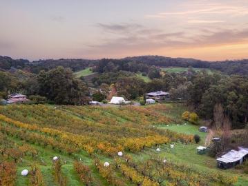 An Extraordinary Adelaide Hills Estate of Lifestyle, Income & Possibility