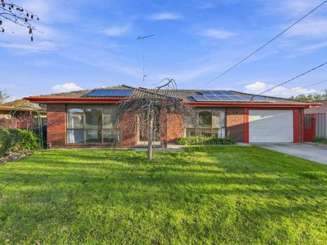 An Inner City Gem in the Heart of Redan
