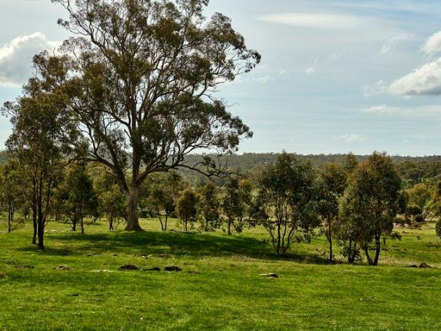 An Instantly Appealing Property